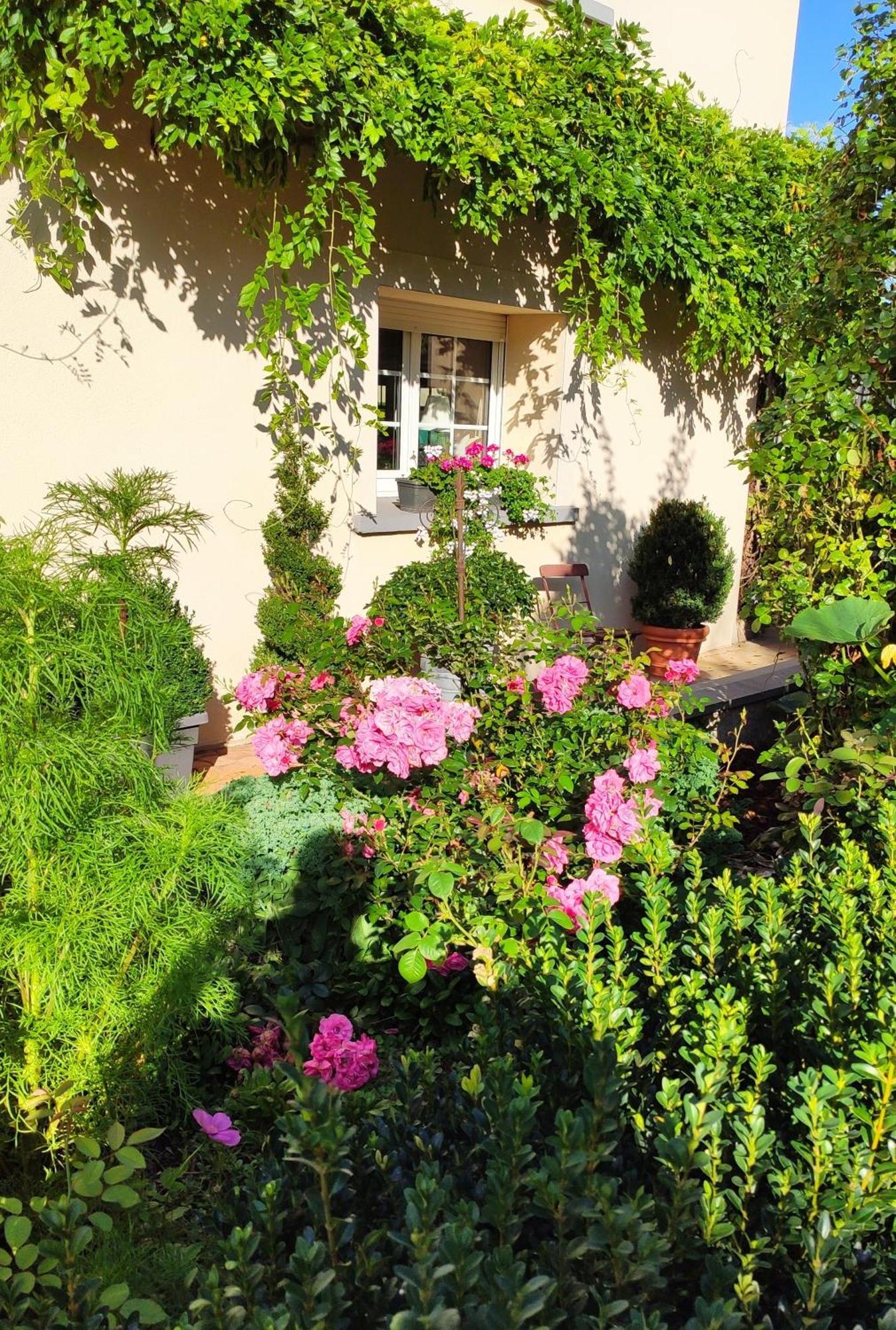 Cattenom Chambres D'Hotes Le Clos Du Verger المظهر الخارجي الصورة